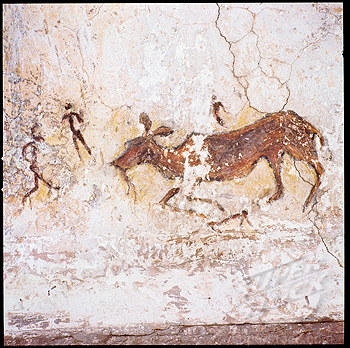 Cave painting showing what appears to be a persistence hunt.  Note the running figures, the lack of weapons and the way the prey seems to have collapsed.