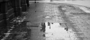 winter puddle (cropped)